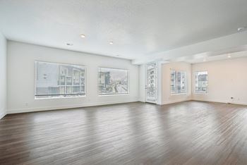 Expansive windows